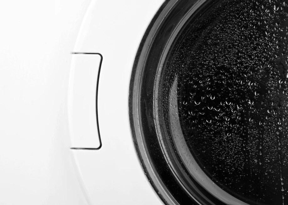 Centrifuga della lavatrice e programmi
